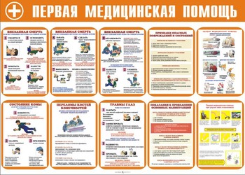 Стенд. Первая медицинская помощь