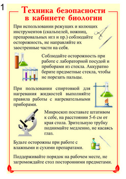 Стенд. Биология