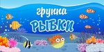 250 d0 b4 d1 81