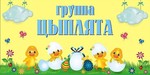 293 d0 b4 d1 81