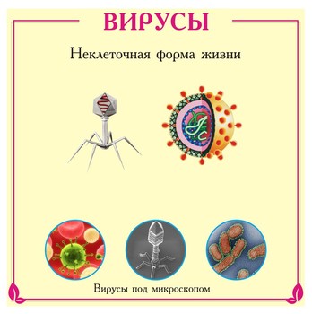 Стенд. Биология